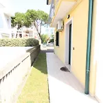 Ada